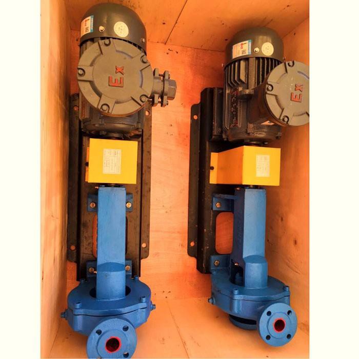 Spray Pump With Electric Motor product image 1